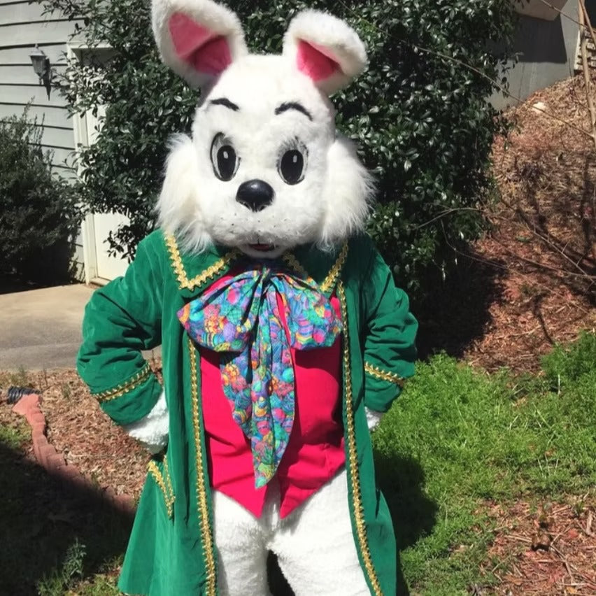 Easter Bunny Character Party