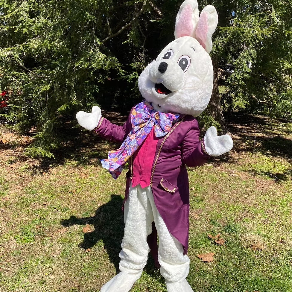 Easter Bunny Character Party