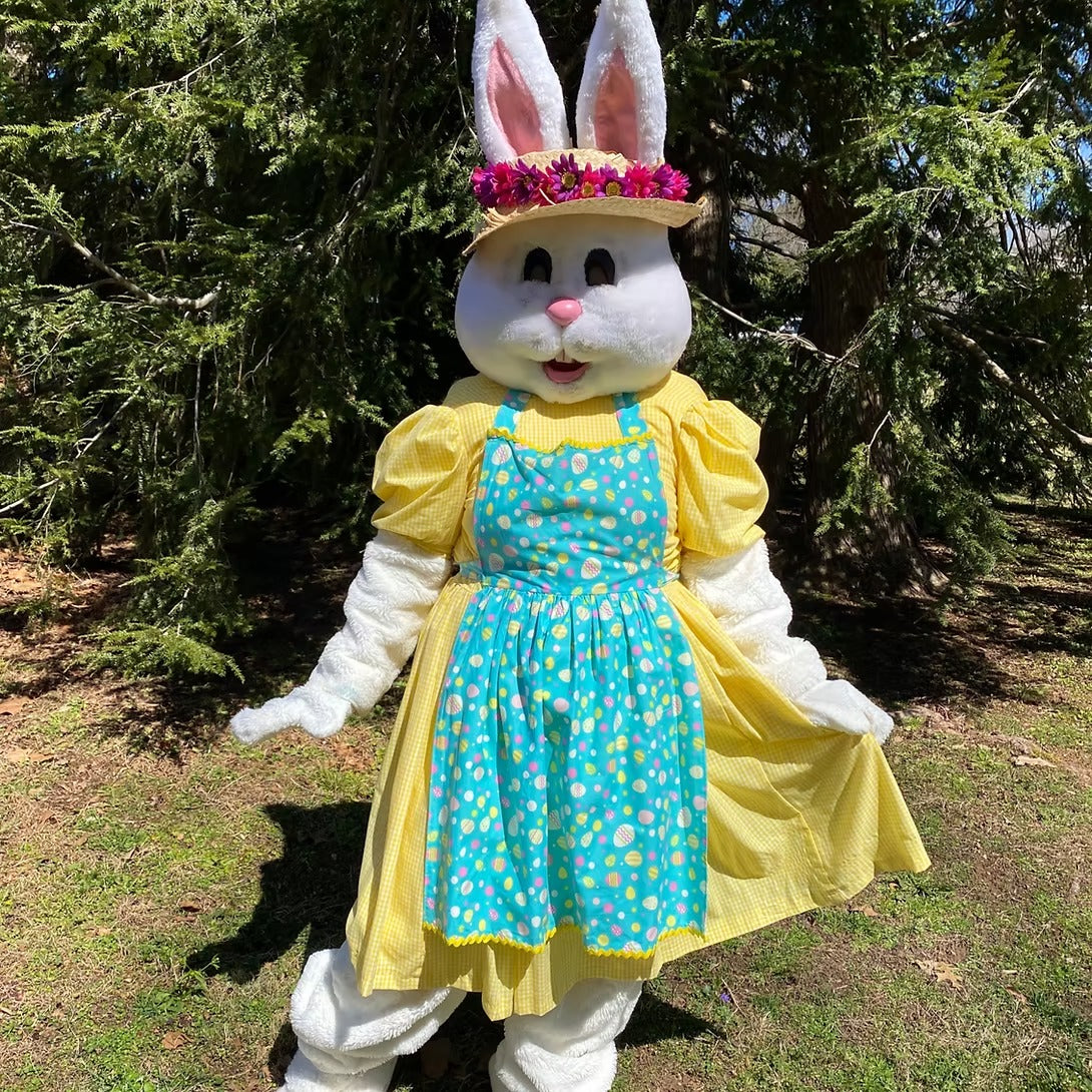 Easter Bunny Character Party
