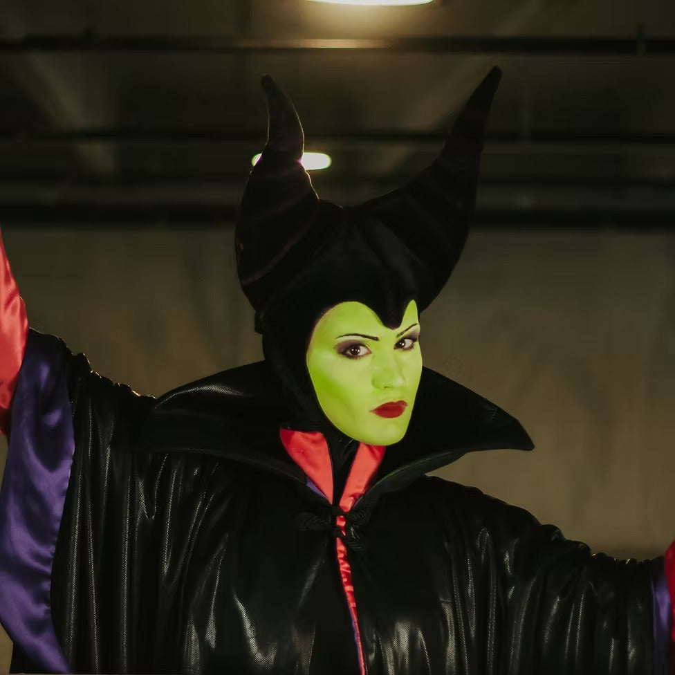 Enchanted Villain Fairy Character Party