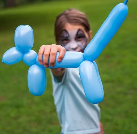 Face Painting and Balloon Twisting Party Entertainment