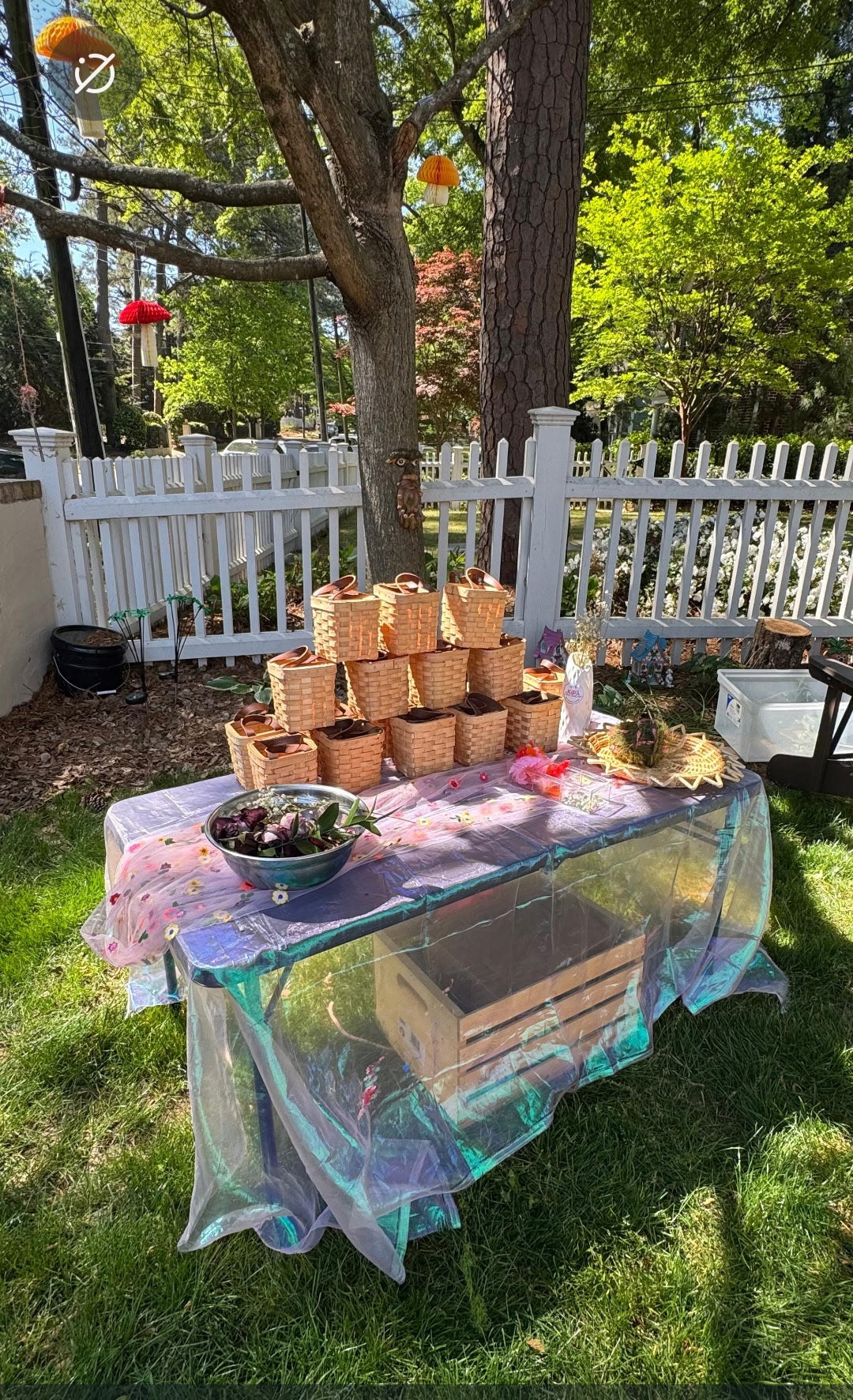 Fairy Forest Magical Party Experience