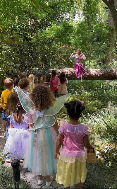 Fairy Forest Magical Party Experience