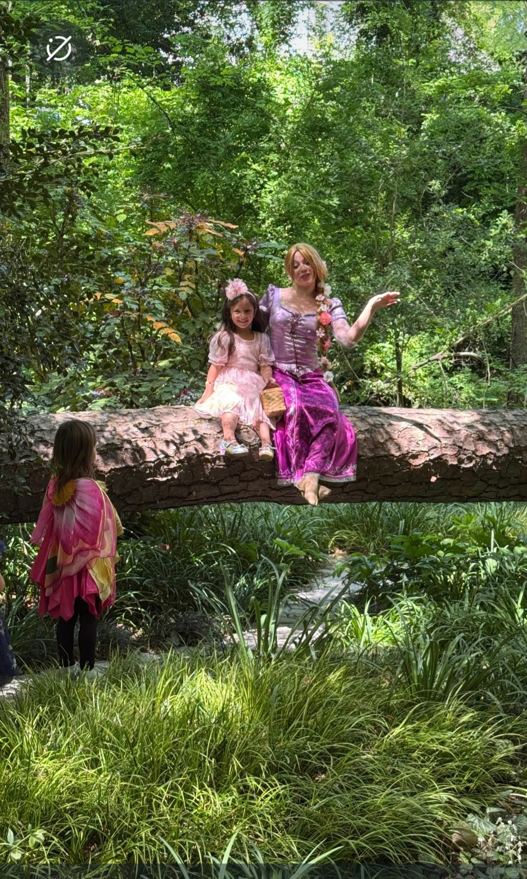 Fairy Forest Magical Party Experience