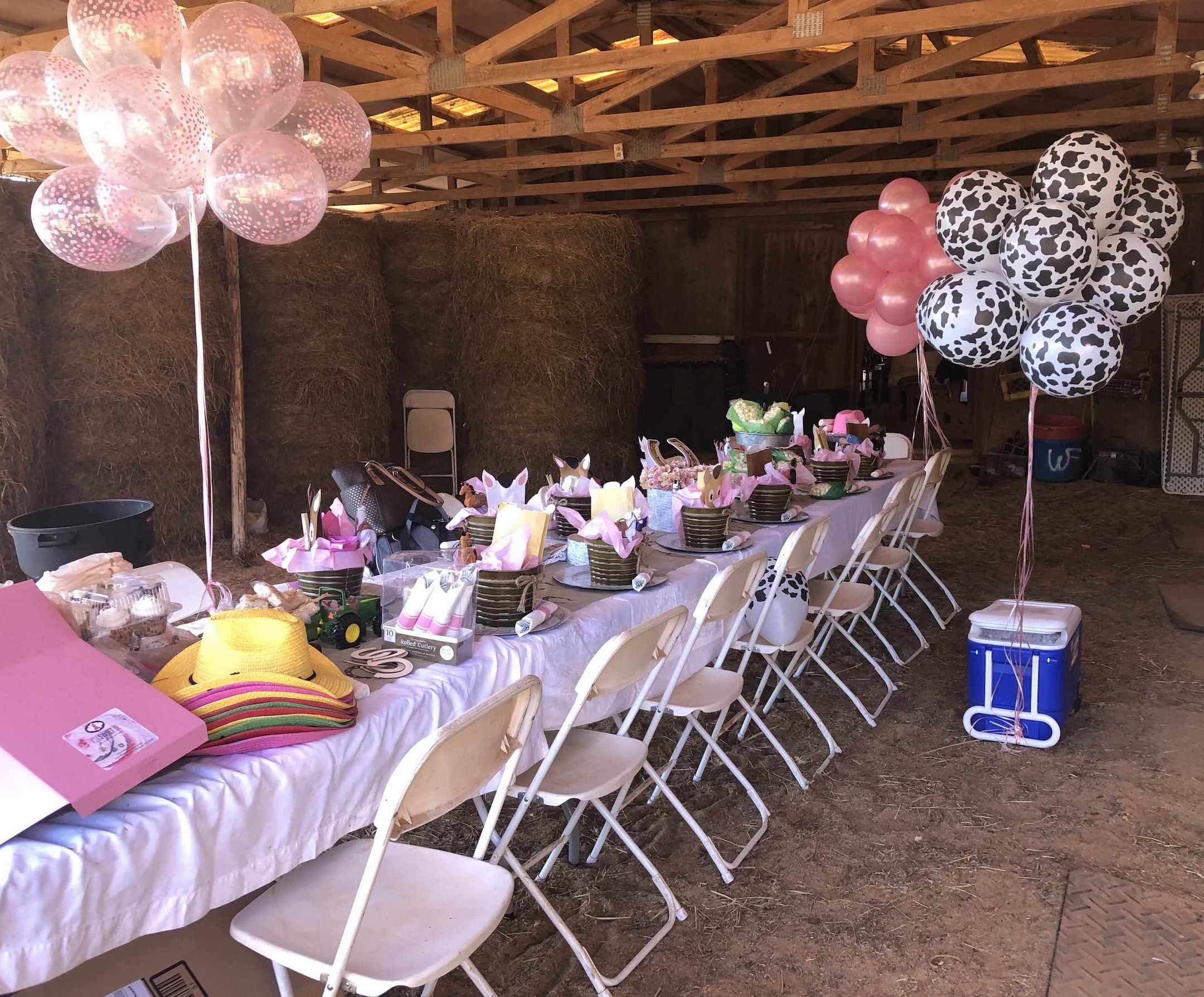 Farm Animal Birthday Party with Hay Ride and Pony Rides