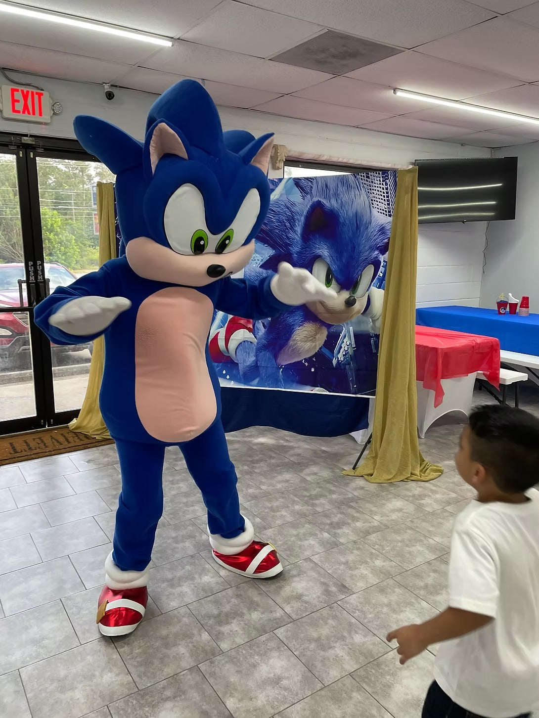 Fast Hedgehog Character Party