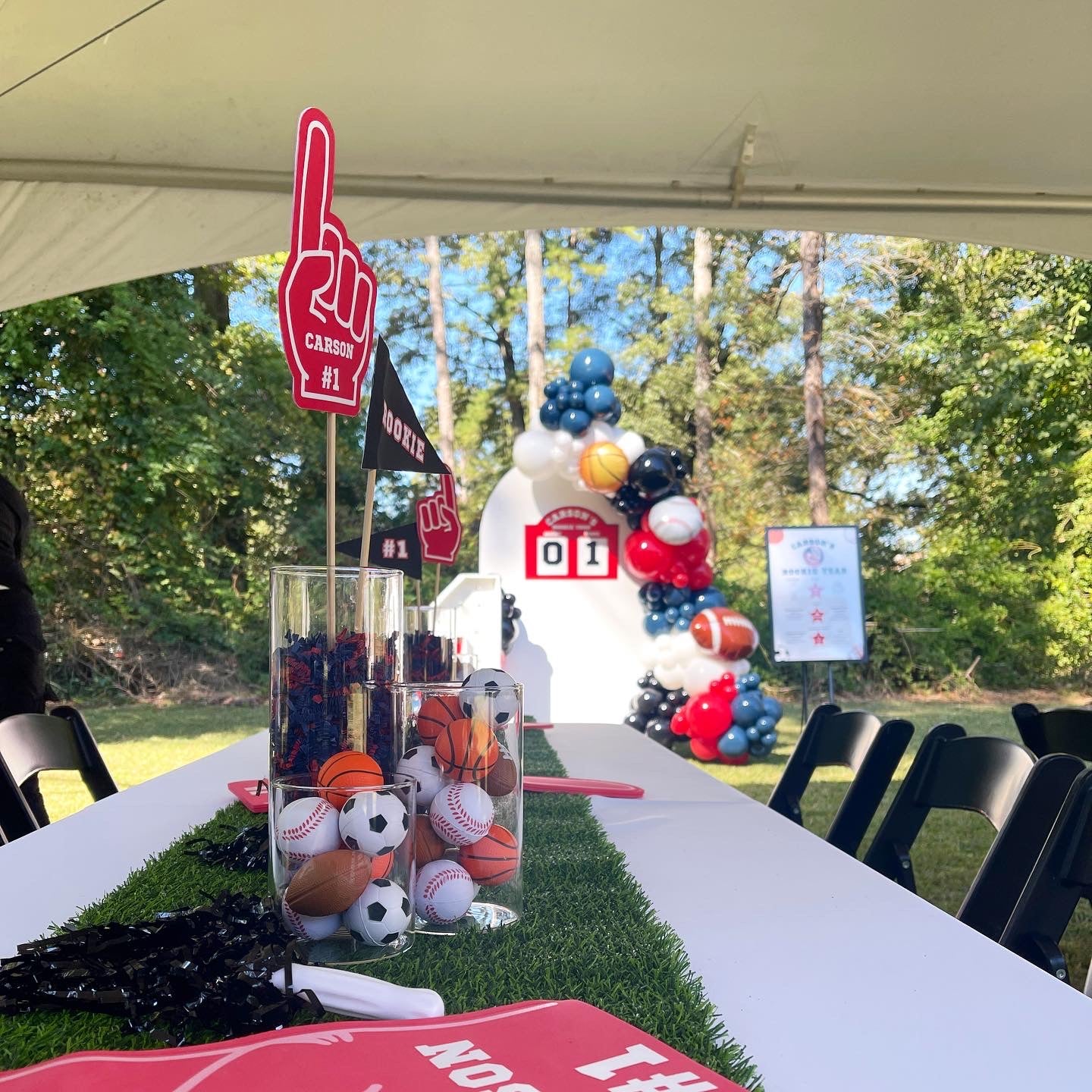 First Birthday Premium Decor Party Package - Choose your theme