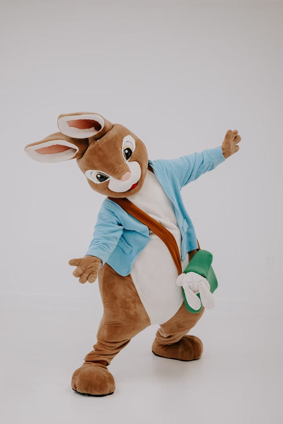 Garden Bunny