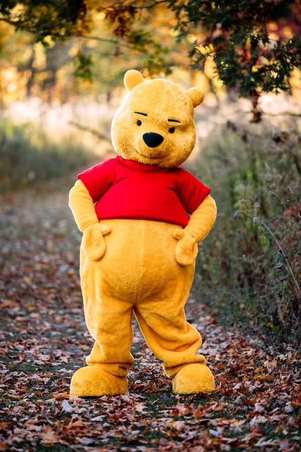 Honey Bear Character