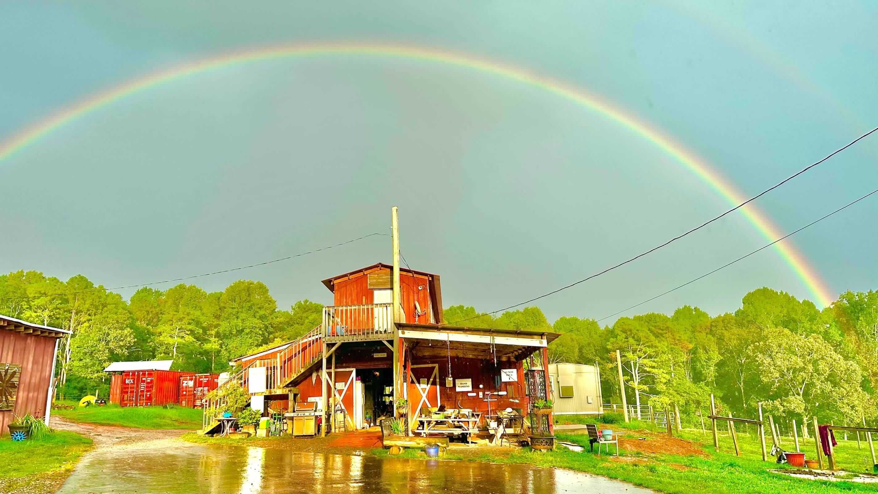 Horseback Riding Birthday Party with Trail Ride