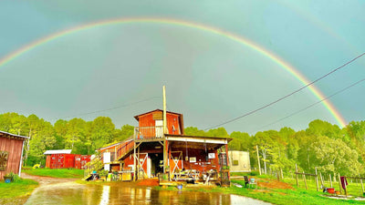 Horseback Riding Birthday Party with Trail Ride