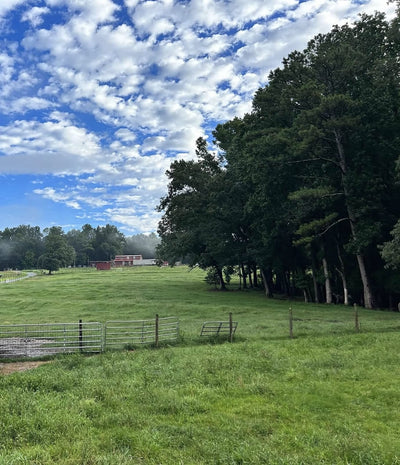Horseback Riding Birthday Party with Trail Ride