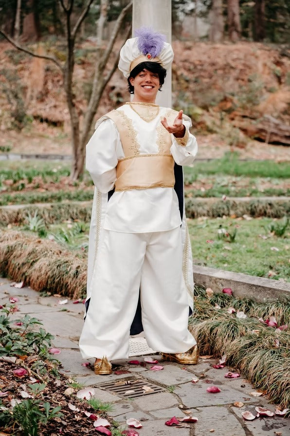 Arabian Adventure Hero