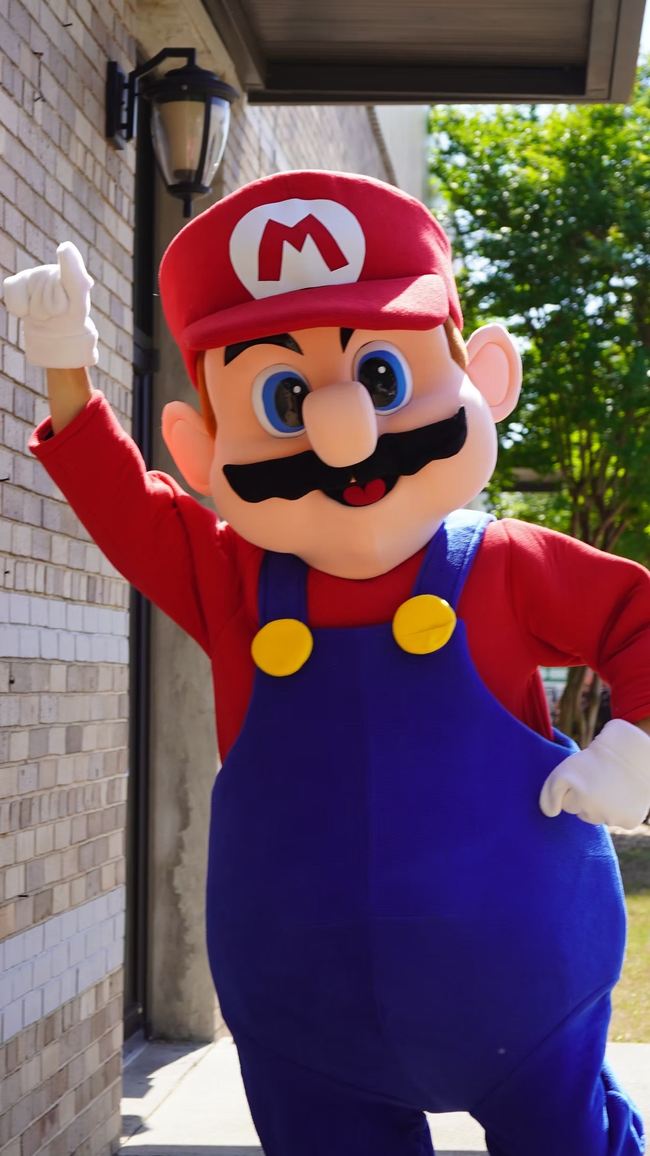 Italian Plumber Hero Character Party