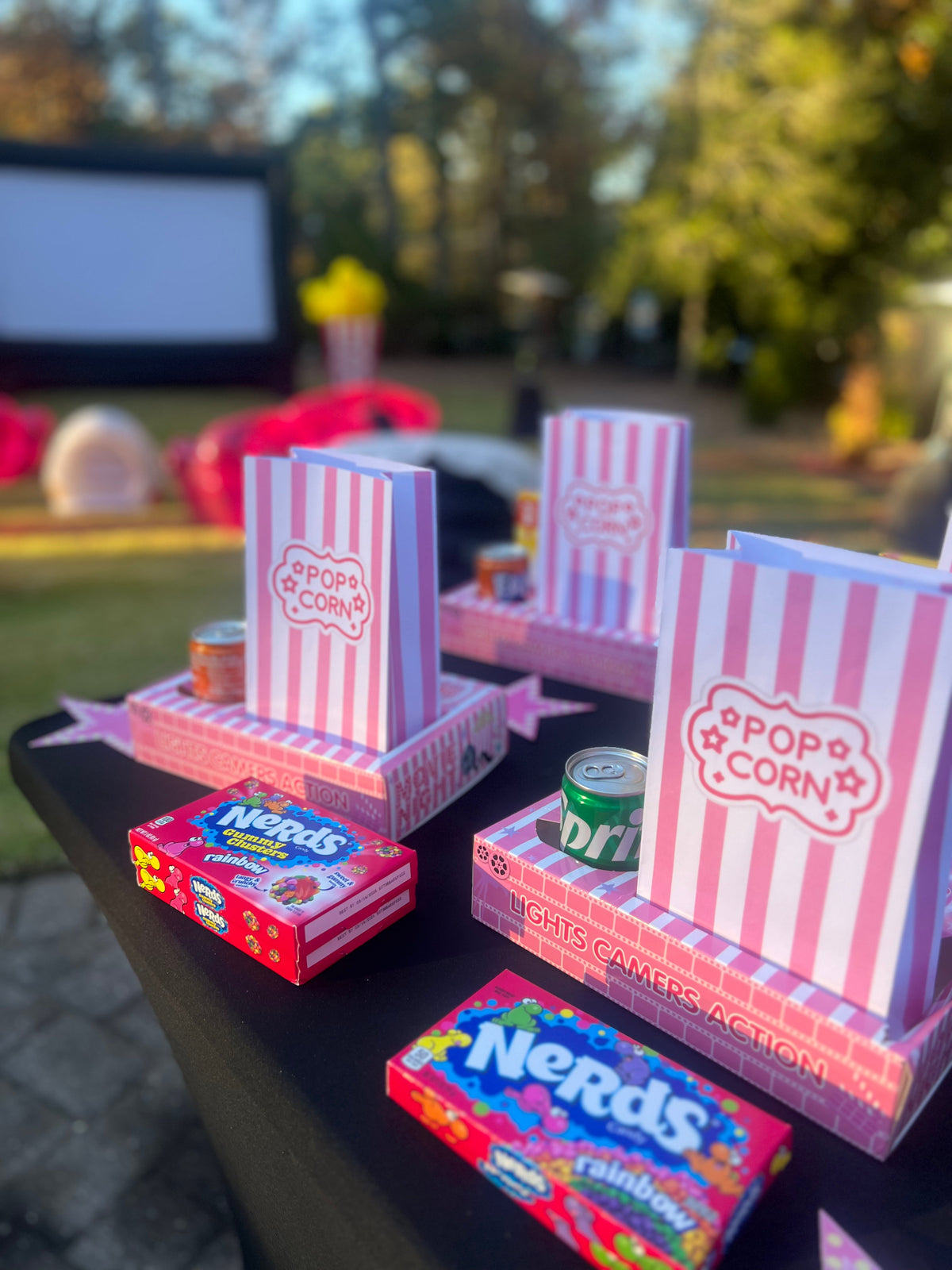 Luxury Outdoor Movie Night Experience