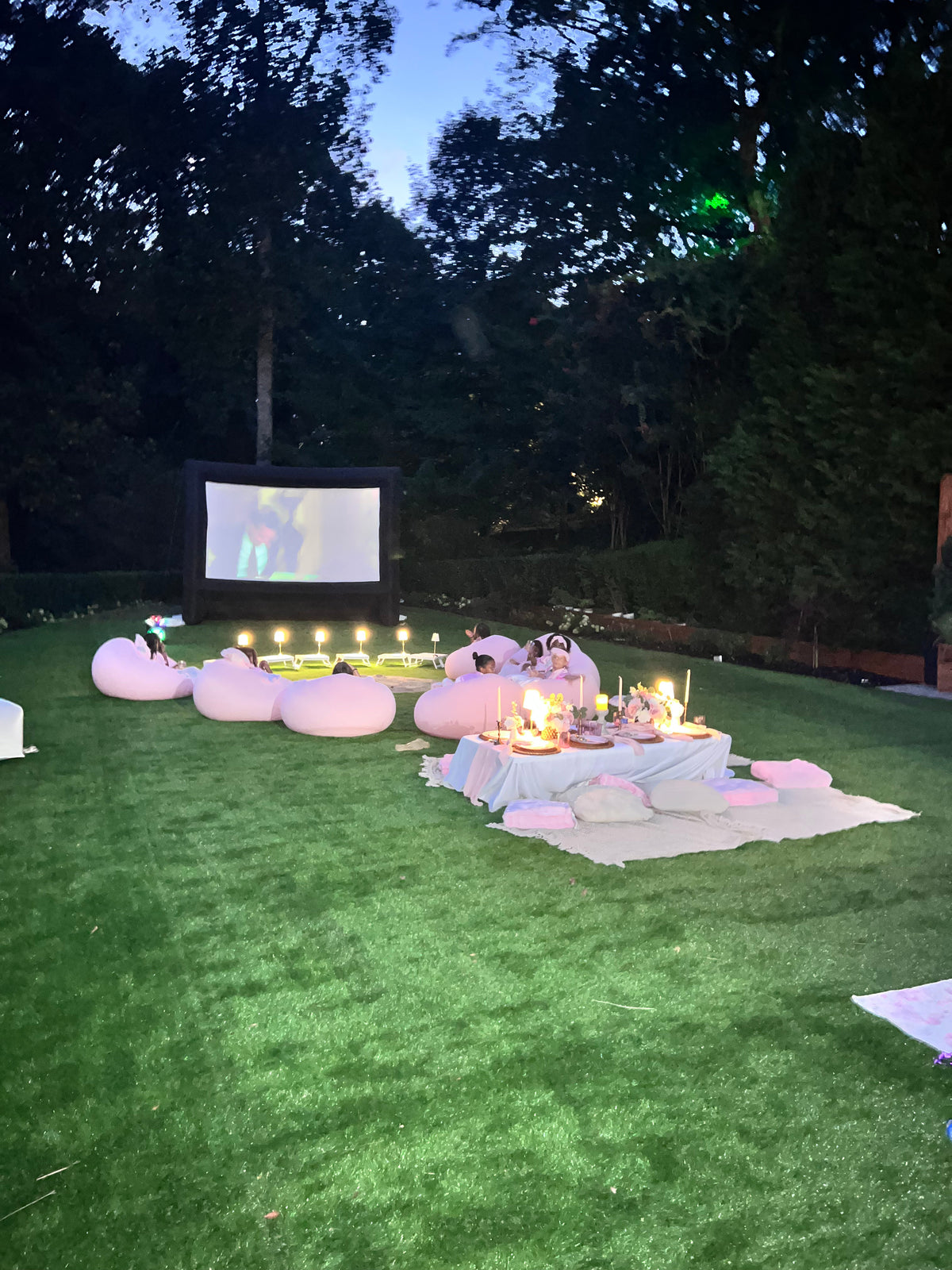 Luxury Outdoor Movie Night Experience