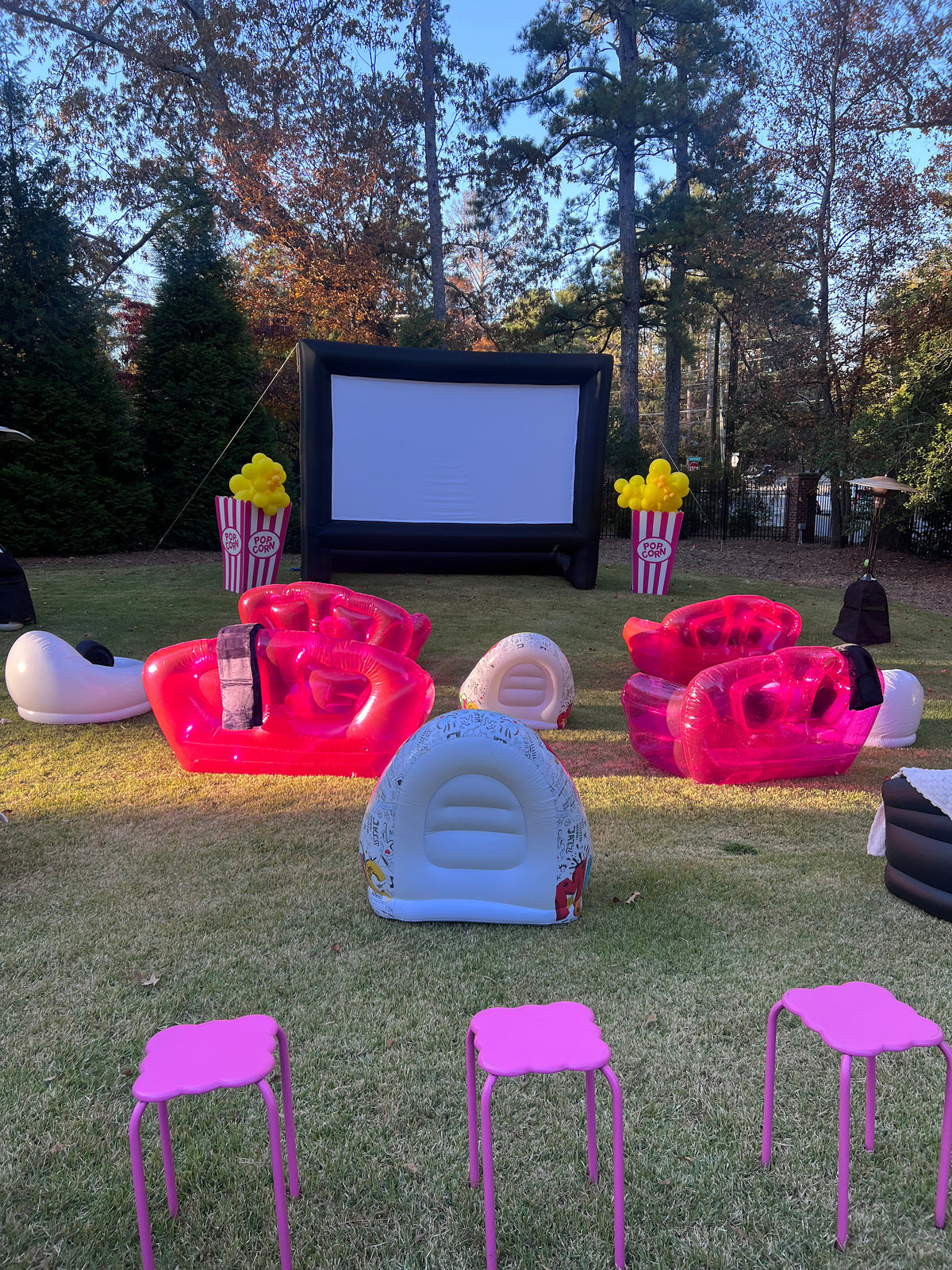 Luxury Outdoor Movie Night Experience