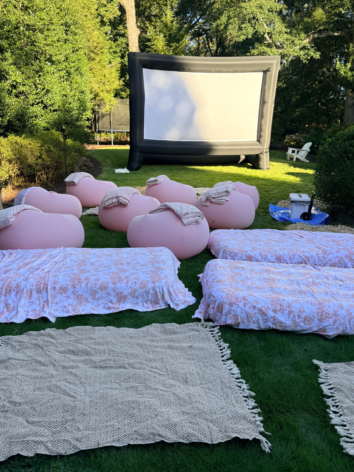 Luxury Outdoor Movie Night Experience