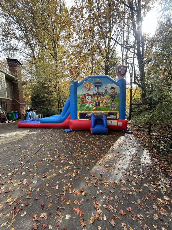 Paw Patrol Deluxe Bounce and Slide