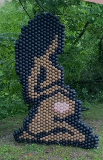 Mural Balloon Display