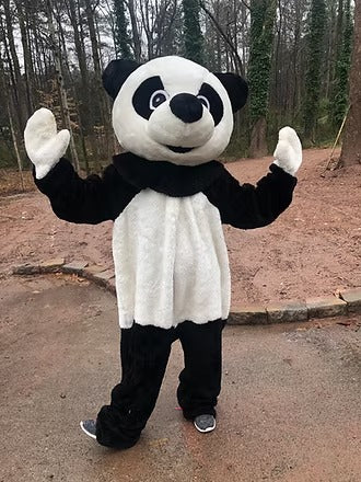 Panda Character Party
