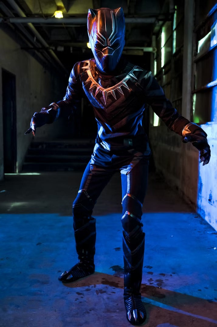 Panther Hero Character Party