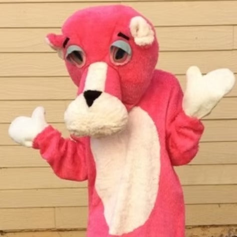 Pink Cat Character Party