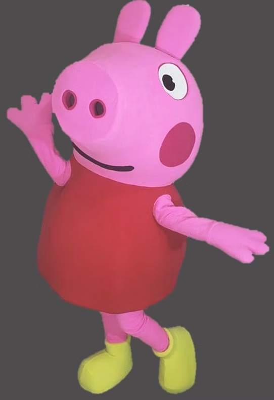 Pink Pig Character Party