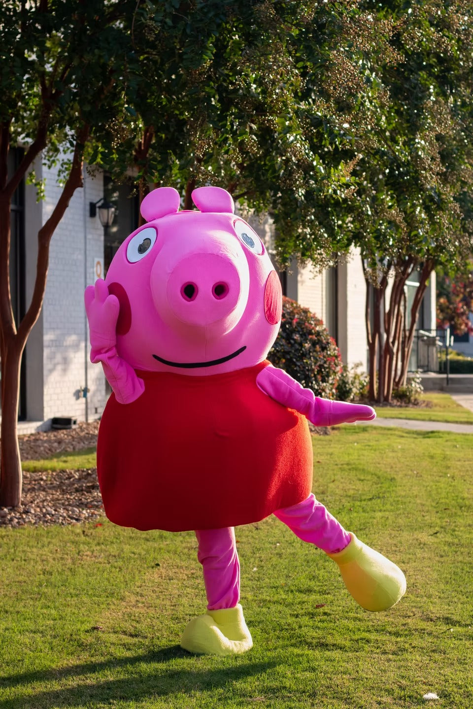 Playful Pink Piggy