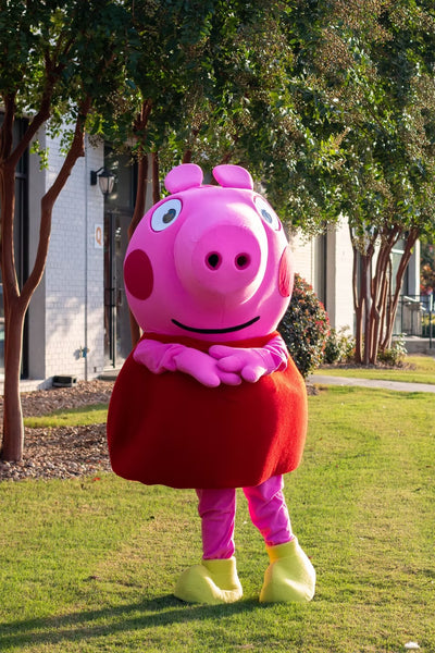 Playful Pink Piggy