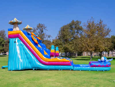 20' Pool Party Dual Lane Waterslide