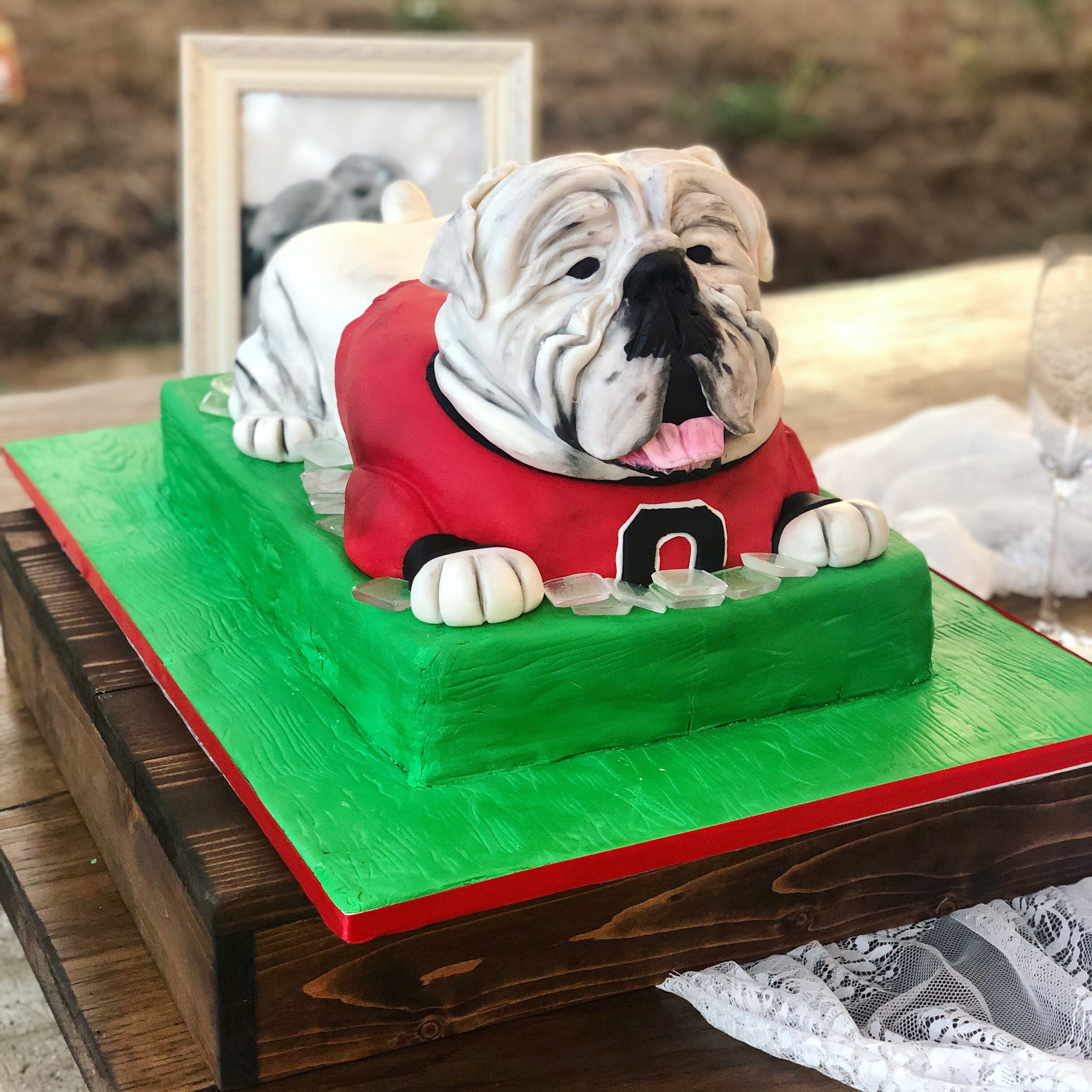 Sculpted Custom Cakes