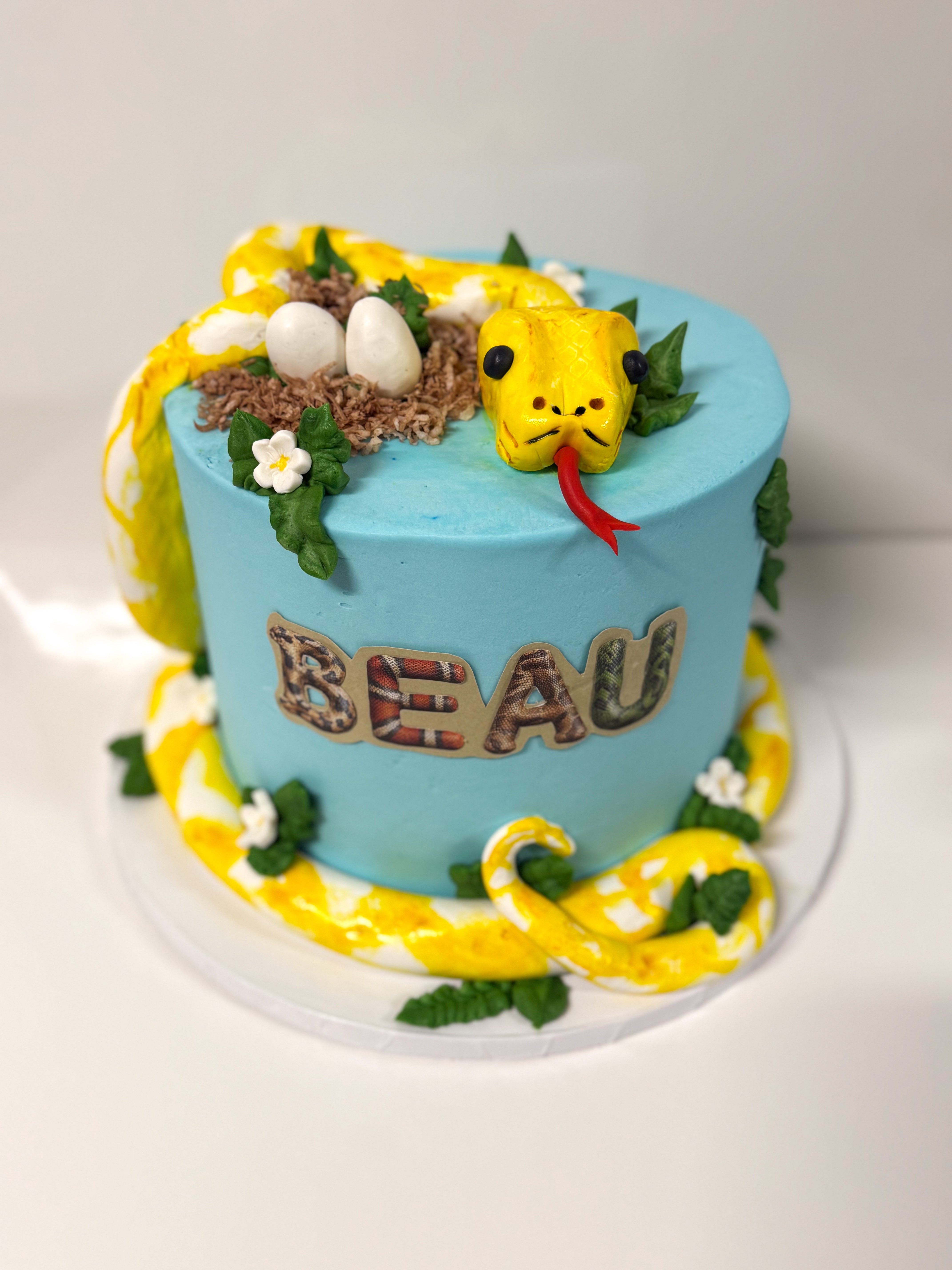 Single Tier Custom Cake