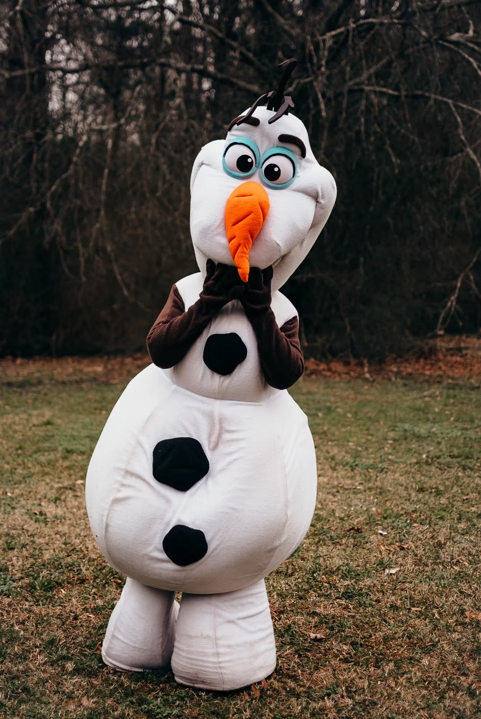 Snowman Friend
