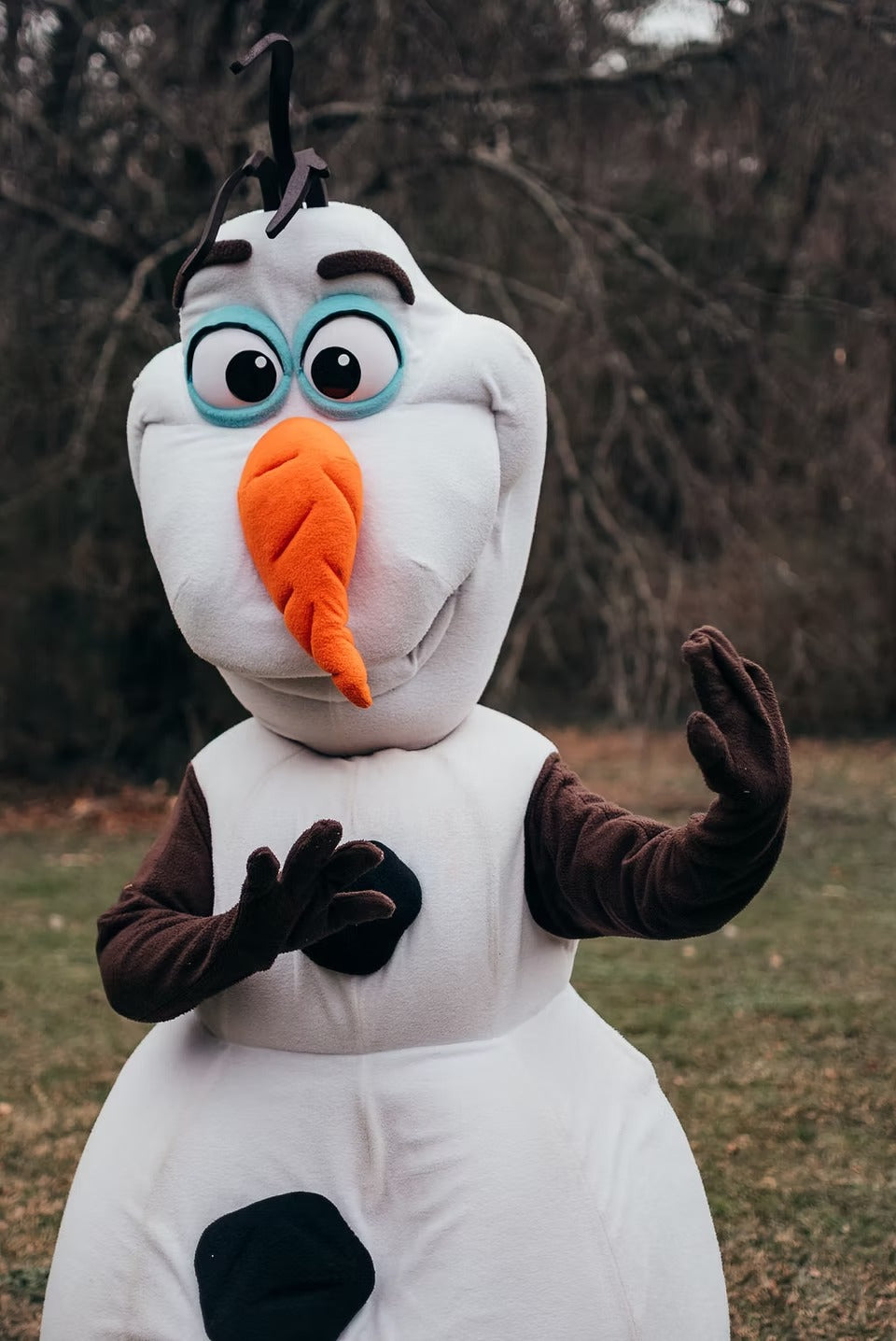 Snowman Friend