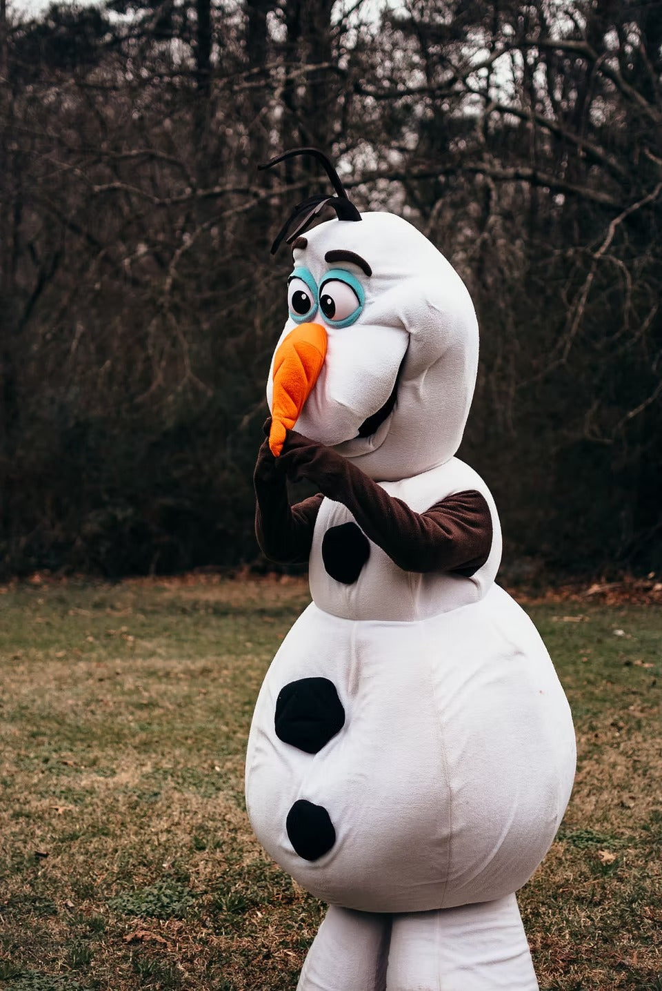 Snowman Friend