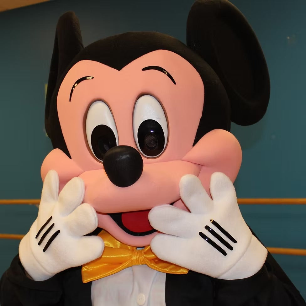 Sorcerer Boy Mouse Character Party