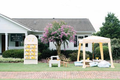 The Bunny Hive Roswell