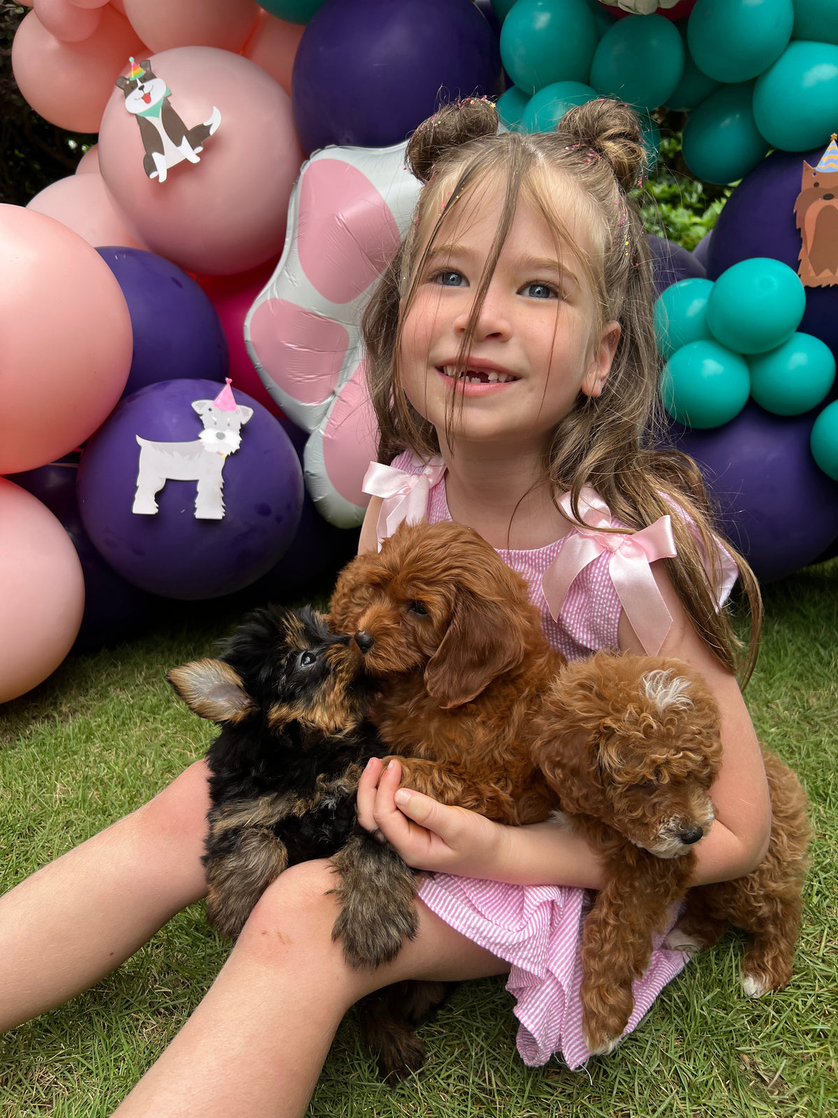 The Puppy Pawty Experience
