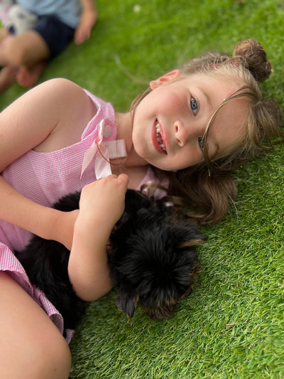 The Puppy Pawty Experience