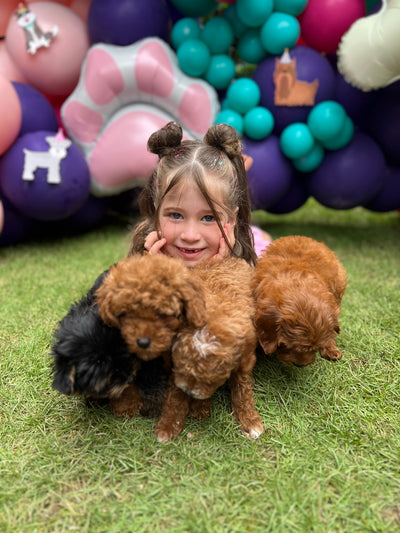 The Puppy Pawty Experience
