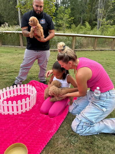 The Puppy Pawty Experience