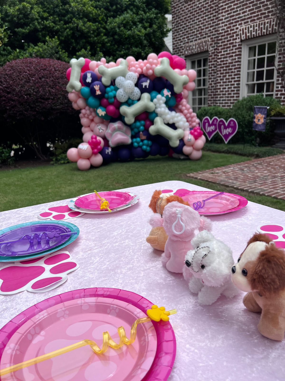 The Puppy Pawty Experience