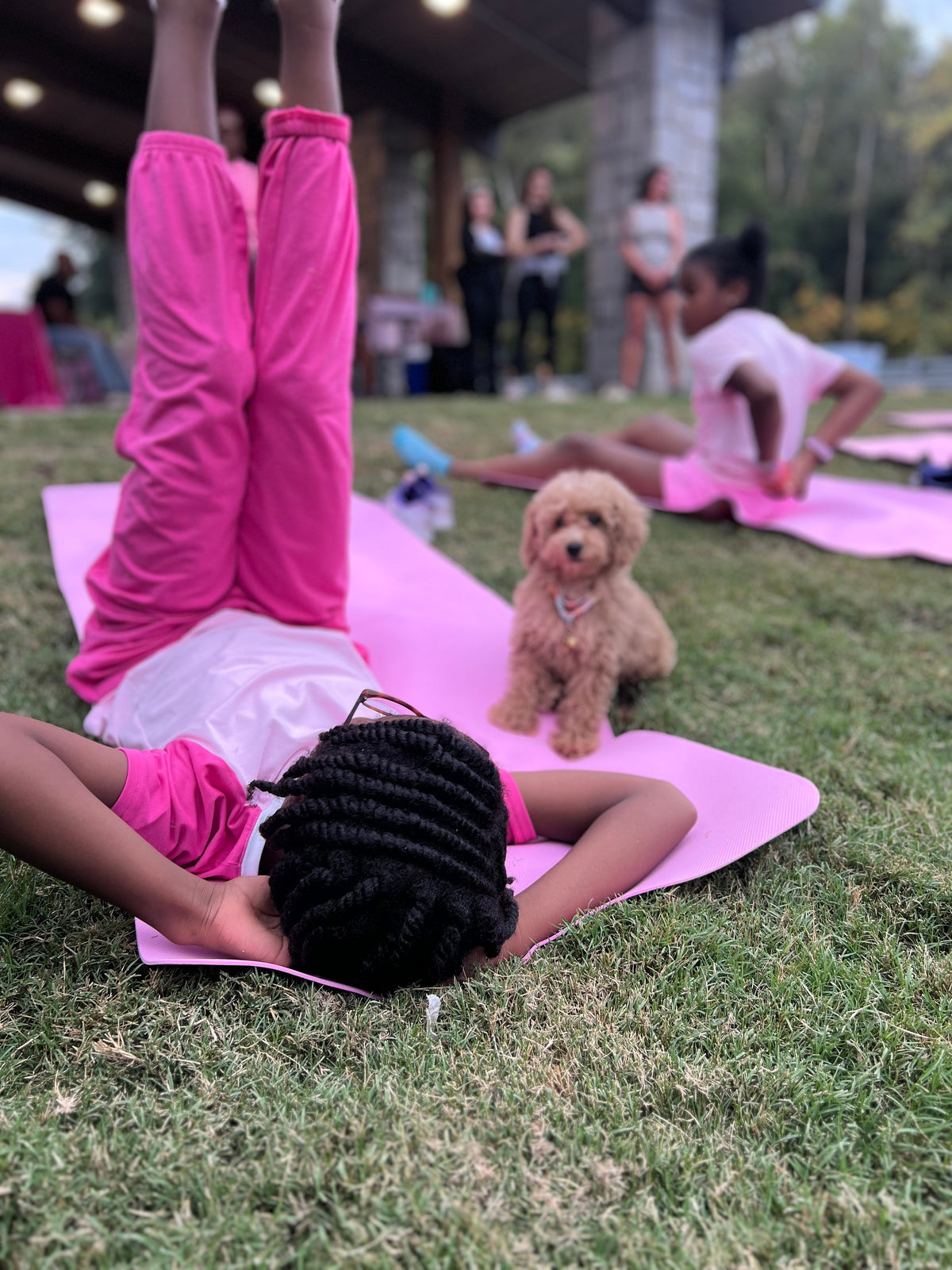 The Puppy Pawty Experience