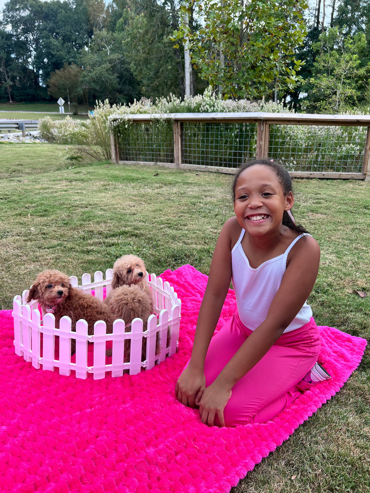 The Puppy Pawty Experience