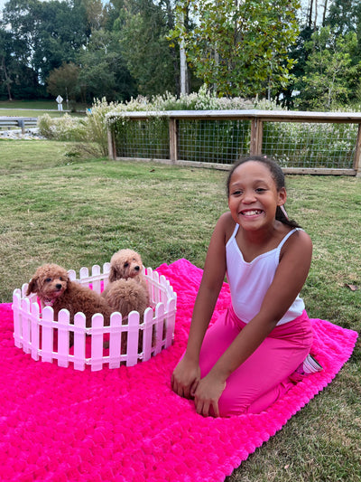 The Puppy Pawty Experience