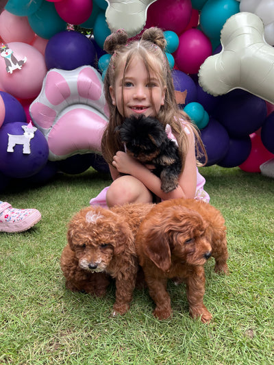 The Puppy Pawty Experience