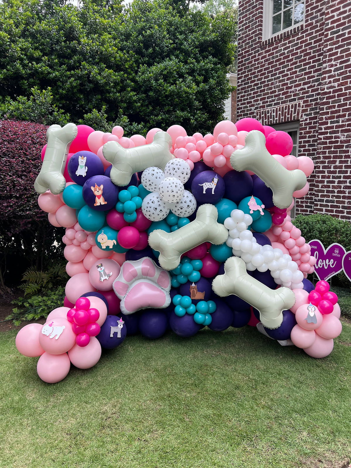 The Puppy Pawty Experience