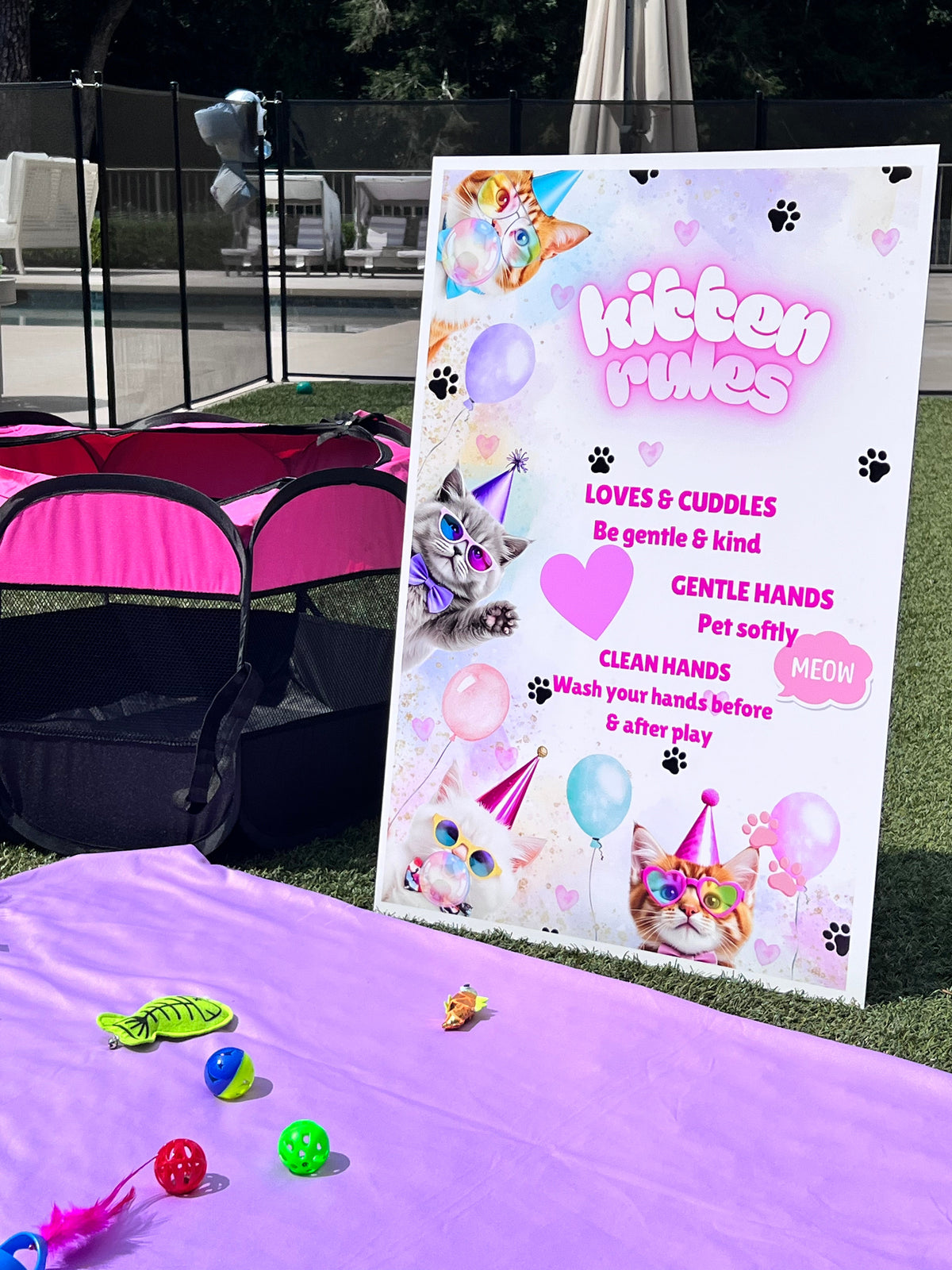 The Purrfect Party Experience- Kittens Galore!