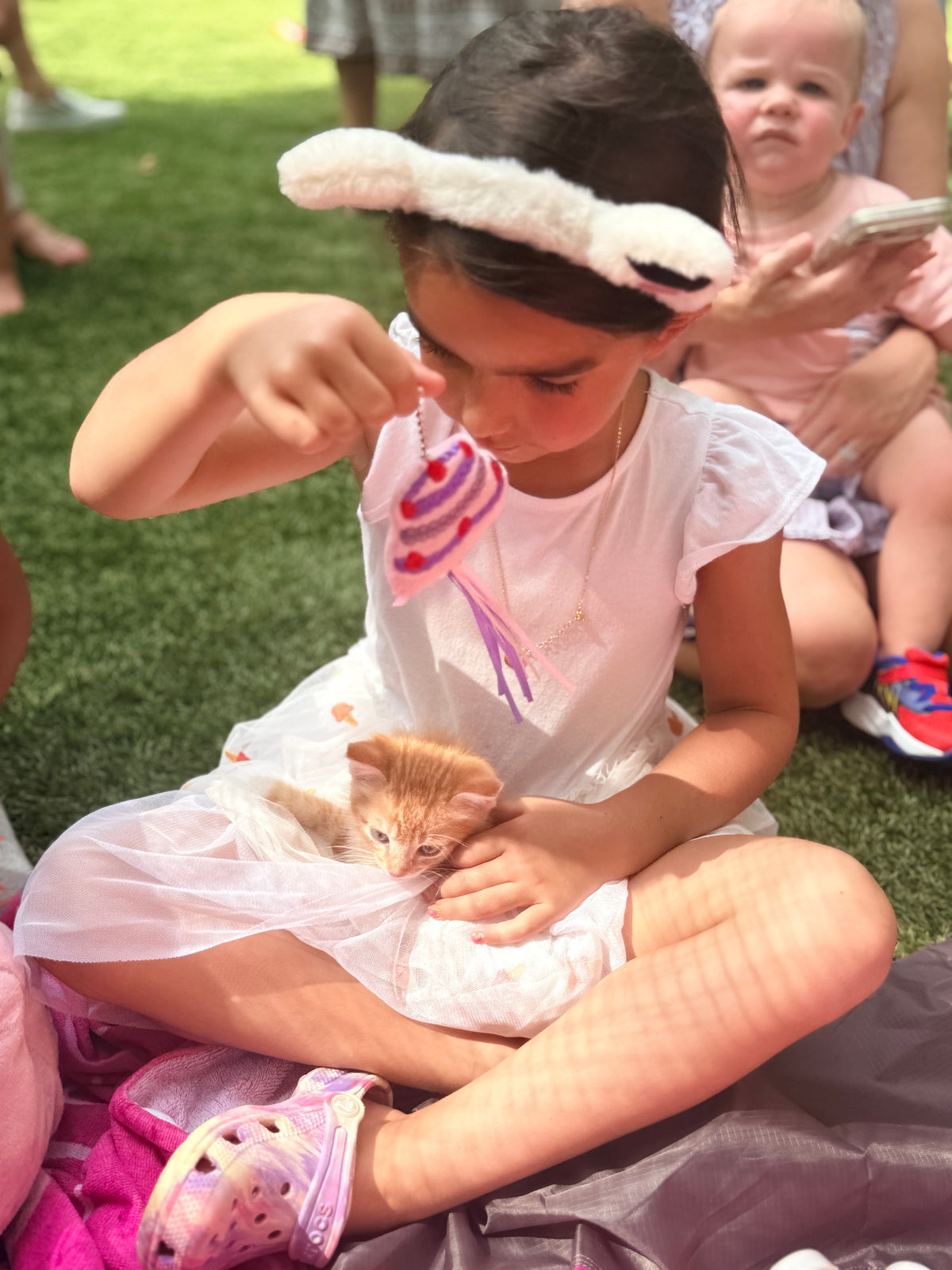 The Purrfect Party Experience- Kittens Galore!